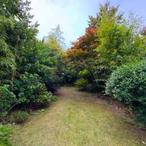 Molière/Pl. C. Meunier : Beau rez de jardin 1 ch. Poss. 2 ch