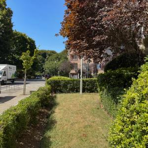 Cambre : Superbe rez de chaussée 3 chambres + jardin