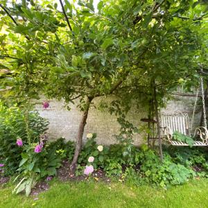 Darwin : magnifique duplex 2 chbres + jardin