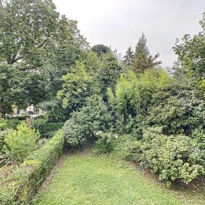 Vert-Chasseur : Bel appartement en parfait état + terrasse
