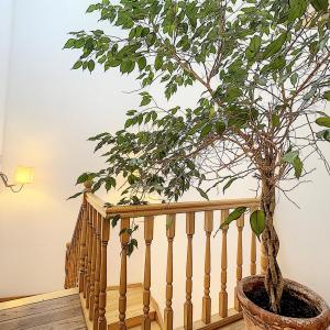 Dansaert : Magnifique duplex 2 ch. avec parking et terrasse