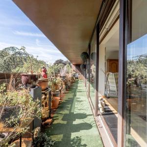 Observatoire : Bel appartement 2 ch + terrasse + parking