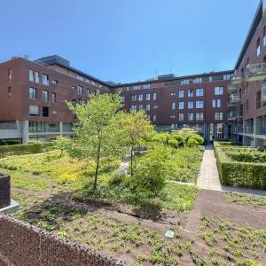 Rez-de chaussée +-145m²,3ch. + terrasse