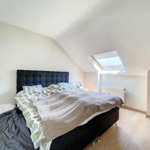 Saint-Job : Magnifique maison 5 chambres + jardin
