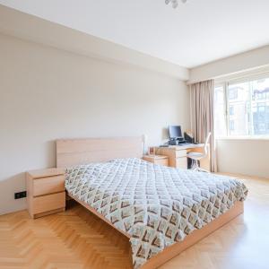 Coghen : appartement 3 chambres + balcons