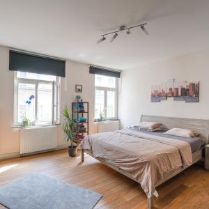 Quartier EU: maison rénovée + duplex + jardin et garage