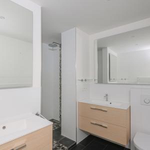 Molière/Pl. C. Meunier : Appartement 2 ch, terrasse + garage