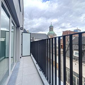 Centre ville - Duplex meublé 3 ch + terrasse