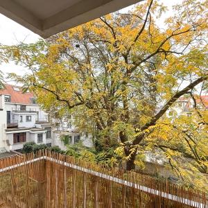 Quartier des Squares - Appartement rénové 2ch + balcon