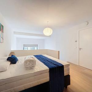 Charleroi / King Charles : Beau duplex meublé avec terrasse