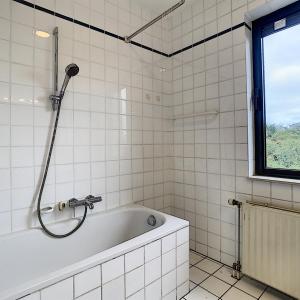 Parc Brugmann : Bel appartement 3 chambres + terrasse 