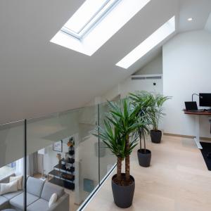 Triplex 3 chambres – 171 m² – Quartier Brugmann