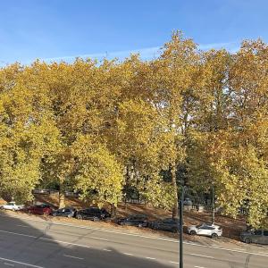 Metropolitan /Abbaye de la Cambre : Sublime appartement neuf