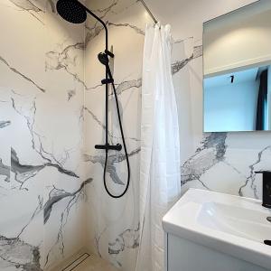 Molière : Magnifique penthouse entièrement rénové