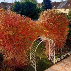 Splendide maison: jardin sud, double garage, prof. libérale