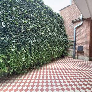 Place Brugmann : Bureaux à louer