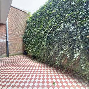 Place Brugmann : Commerce à louer