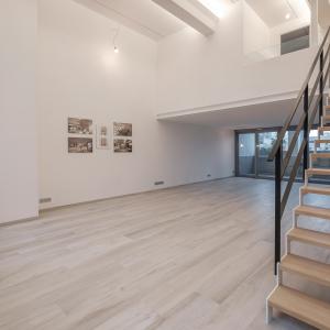 Molière: Splendide loft 192 m² - possibilité 3 ch, terrasse