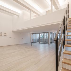 Molière: Magnifique loft 220 m² - possibilité 3 ch, terrasse