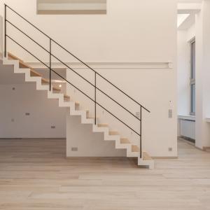 Molière: Splendide loft 192 m² - possibilité 3 ch, terrasse