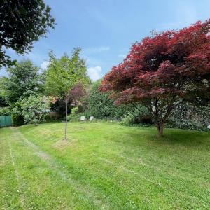  Floride /Observatoire: Splendide maison 6 ch et beau jardin