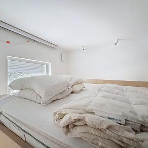 Haut de Saint-Gilles : Rez-de-chaussée avec jardin meublé