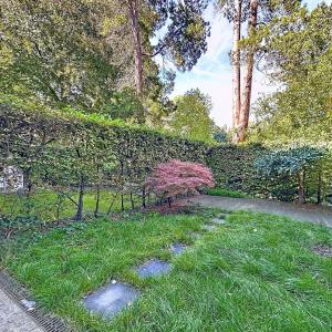 Beau-Séjour : Superbe maison de caractère pour colocation !