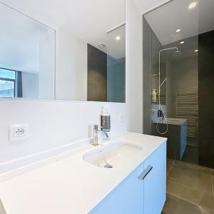 Toison d'Or : Superbe appartement meublé avec 1 chambre