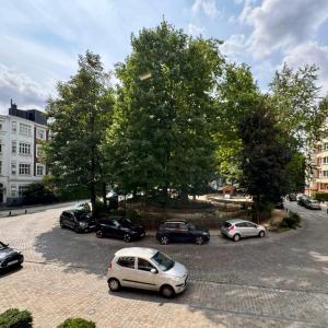 Molière: Magnifique appartement lumineux 2 chambres