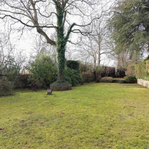 Leo Errera - Villa de 670 m² bruts, jardin & prof. libérale.