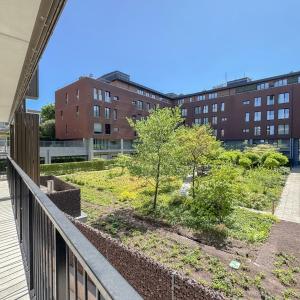 Rez-de chaussée +-145m²,3ch. + terrasse