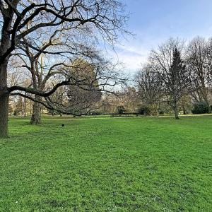 Bois de la Cambre : appartement 1 chambre + extérieur