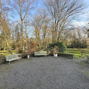 Bois de la Cambre : appartement 1 chambre + extérieur