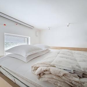 Haut de Saint-Gilles : Rez-de-chaussée avec jardin meublé