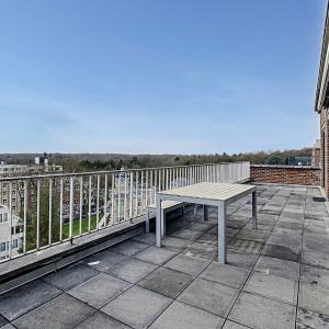 Roosevelt : Superbe penthouse avec grande terrasse