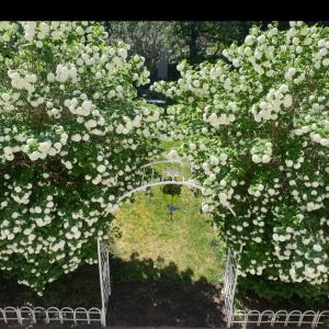 Splendide maison: jardin sud, double garage, prof. libérale