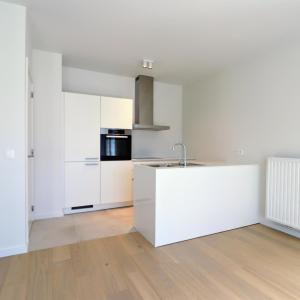 Cinquantenaire Magnifique appartement 2020 terrasse parking 