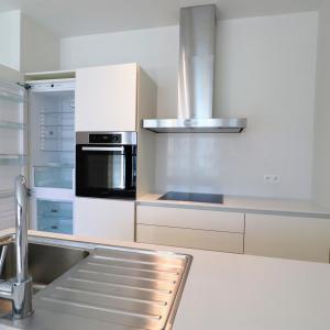 Cinquantenaire Magnifique appartement 2020 terrasse parking 