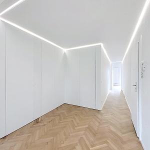 Louise / Flagey : Magnifique appartement 2 chambres rénové 