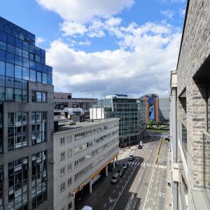 Cinquantenaire Magnifique appartement 2020 terrasse parking 