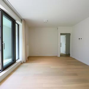 Cinquantenaire Magnifique appartement 2020 terrasse parking 