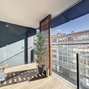 Cambre 33 : Sublime appartement 2 chambres + terrasses