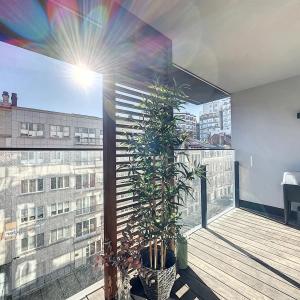 Cambre 33 : Sublime appartement 2 chambres + terrasses
