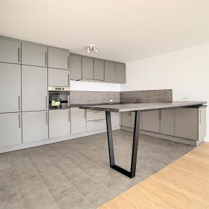 Cottages : Belle maison mitoyenne + terrasses + jardin