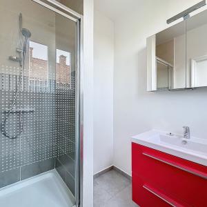 Roosevelt : Magnifique appartement + balcon + garage