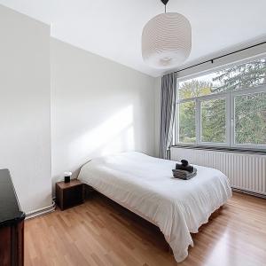 Dieweg/Lycée Français : Belle maison 4 chambres + bureaux