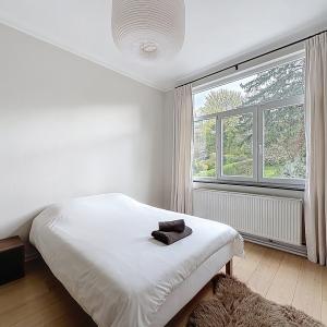 Dieweg/Lycée Français : Belle maison 4 chambres + bureaux