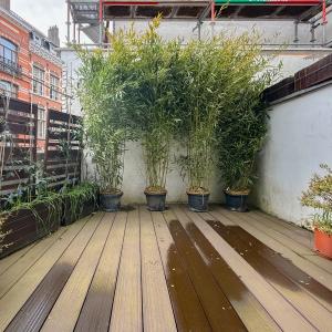 Cinquantenaire: maison rénovée terrasse 3ch., bur., dressing