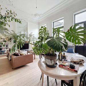 Chaussée d'Ixelles : Sublime appartement remis à neuf