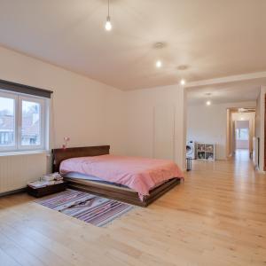 Floride : maison 5 ch + cabinet médical